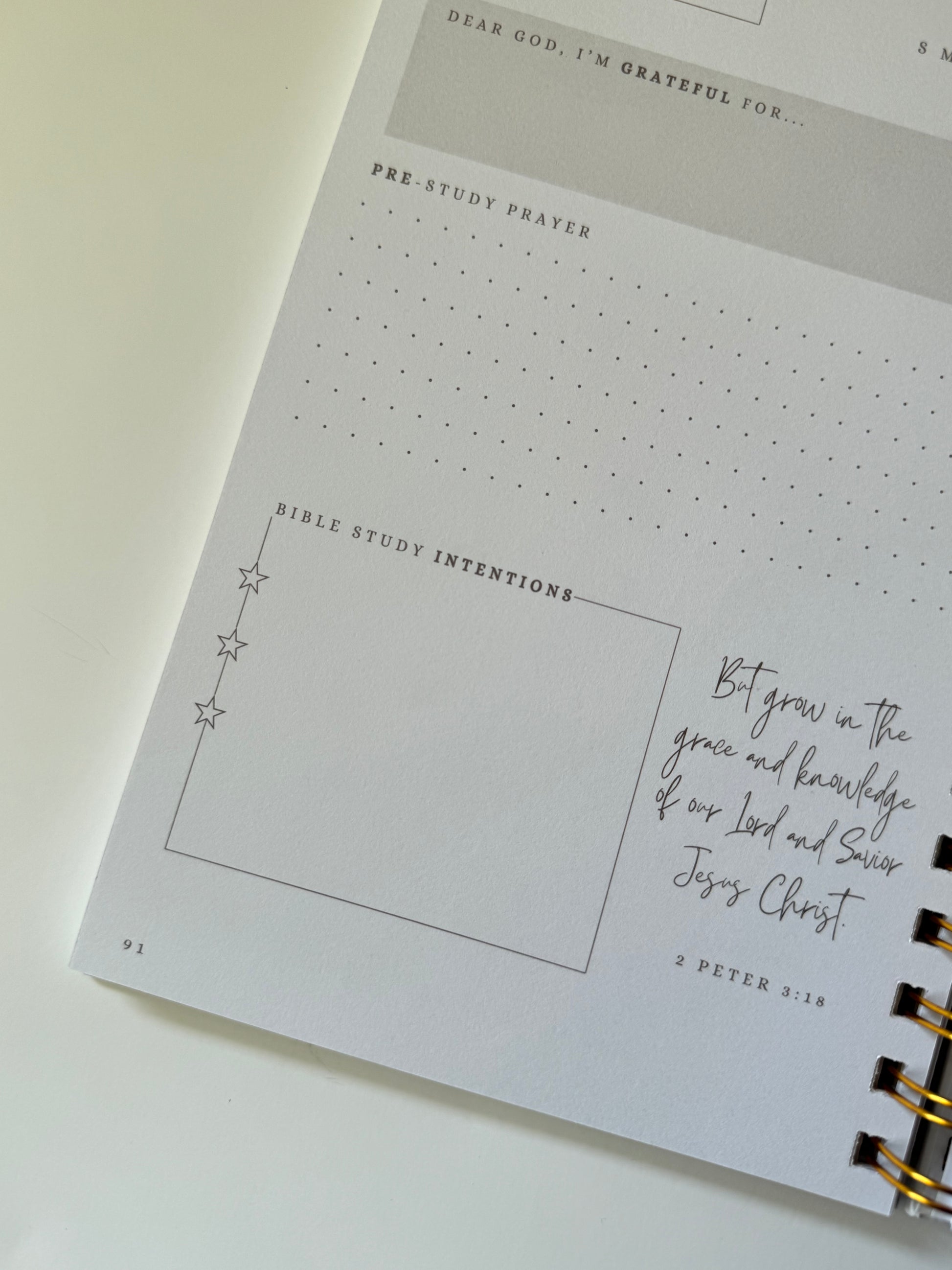 APCo. Bible Study Journal Signature page closeup showing gratitude box, prayer box, and Bible study intentions box