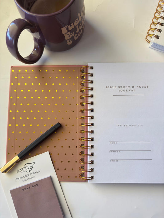 APCo. Bible study products laid out in flat lay